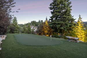 Surrounding community with a putting area and a lawn
