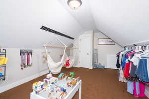 Bonus room featuring carpet floors, vaulted ceiling, and a textured ceiling
