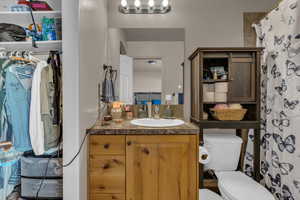 Bathroom featuring vanity and a shower with shower curtain
