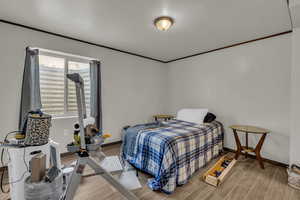 Bedroom with wood finished floors and ornamental molding