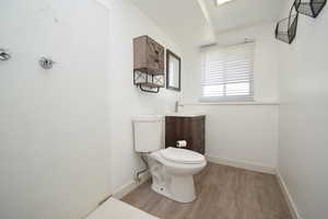 Bathroom featuring wood finished floors and vanity
