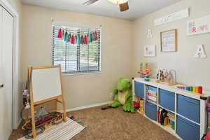 Rec room with a ceiling fan and carpet floors