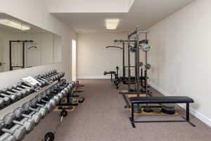 Exercise room with baseboards and carpet floors