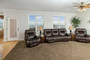 Carpeted living room with ornamental molding, plenty of natural light, ceiling fan, and wood finished floors