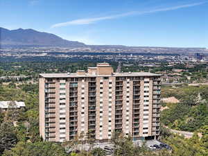 Drone / aerial view of mountains