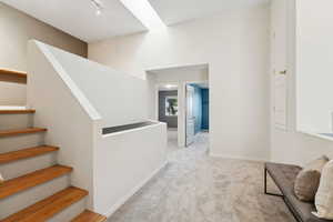 Stairs with carpet floors and baseboards