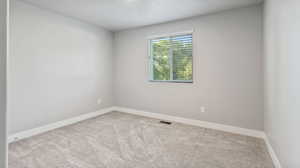 Spare room with carpet and a textured ceiling