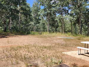 View of undeveloped land
