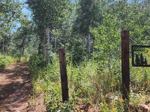 Gate with a forest view