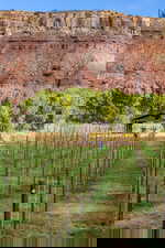View of yard featuring a view of countryside