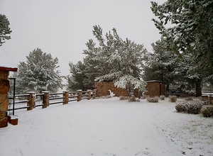 View of yard covered in snow
