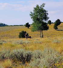 View of local wilderness with rural landscape