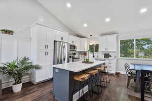 Kitchen featuring lofted ceiling, stainless steel appliances, recessed lighting, dark wood-style floors, and white cabinetry