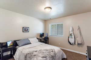 Bedroom featuring carpet floors and a textured ceiling