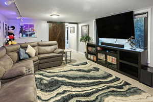 Living room featuring a textured ceiling, carpet floors, and rail lighting