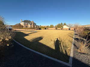 View of grassy yard