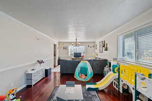 Living area with a chandelier, ornamental molding, hardwood / wood-style flooring, and a textured ceiling