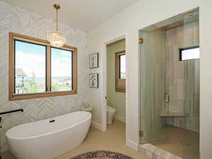 Bathroom with a shower stall, a freestanding tub, and a chandelier