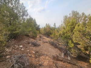 Beautiful Property Views - Nice Large Trees!