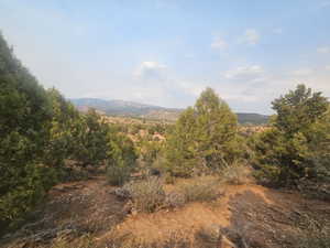 Beautiful Property Views - Nice Large Trees!