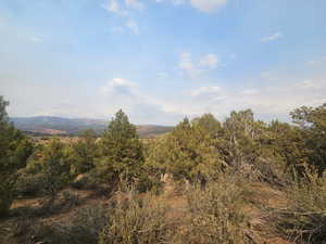 Beautiful Property Views - Nice Large Trees!