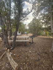 Picnic Area