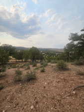 Beautiful Property Views - Nice Large Trees!