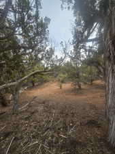 Beautiful Property Views - Nice Large Trees!