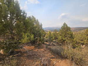 Beautiful Property Views - Nice Large Trees!