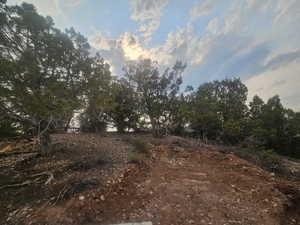 Beautiful Property Views - Nice Large Trees!