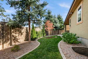 View of fenced backyard, Juniper trees