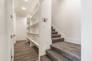 Staircase with carpet flooring