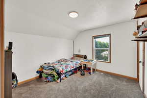 Carpeted bedroom featuring baseboards and lofted ceiling