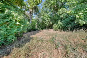 View of undeveloped land