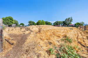 View of yard featuring a view of rural / pastoral area
