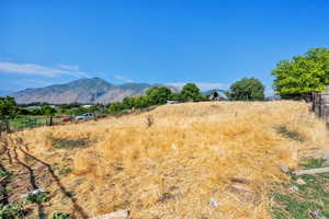 View of mountain background with rural landscape