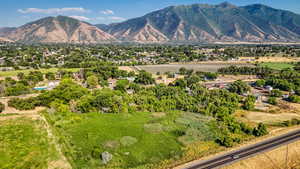 View of mountain background featuring a tree filled landscape