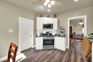 Kitchen featuring a ceiling fan, stainless steel appliances, and dark wood finished floors