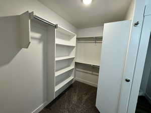 View of walk in closet