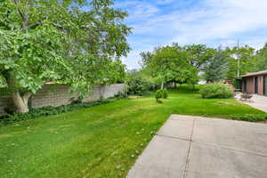 View of yard featuring a patio area