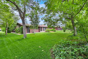 View of green lawn