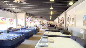 Basement featuring ceiling fan and carpet