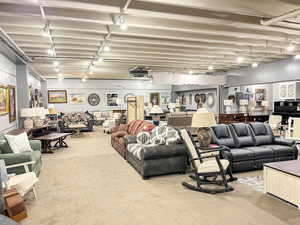 Living room featuring rail lighting and carpet floors