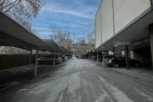 View of asphalt driveway