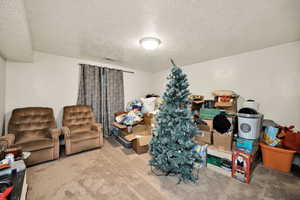 Bedroom with a textured ceiling and carpet floors