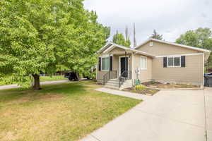 View of front of property featuring a front yard and mature shade tree, black shutters an black door with black metal railing