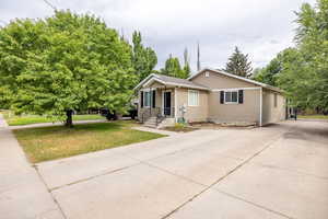 View of front of property featuring concrete driveway and a front yard with a large tree, black shutters an black door with black metal railing