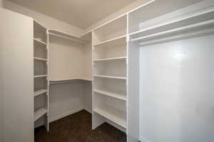 Primary Closet