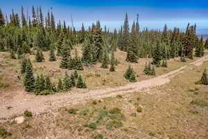 View of undeveloped land