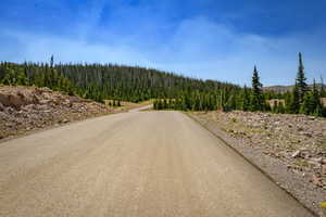 View of asphalt road featuring a forest view